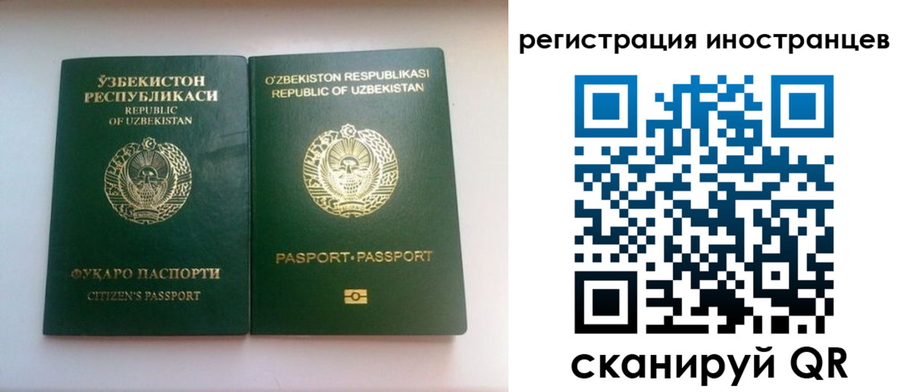прописка 2025 в Видном