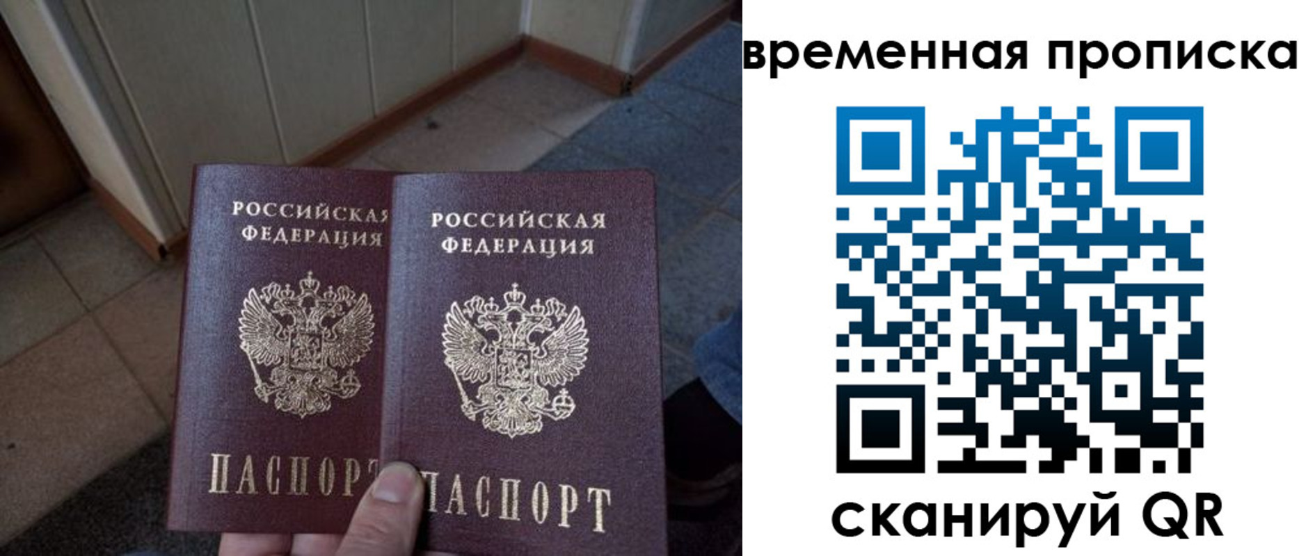 прописка поиск в Видном